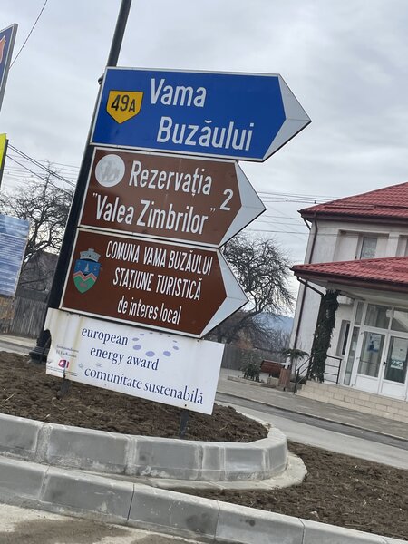Vama Buzaului